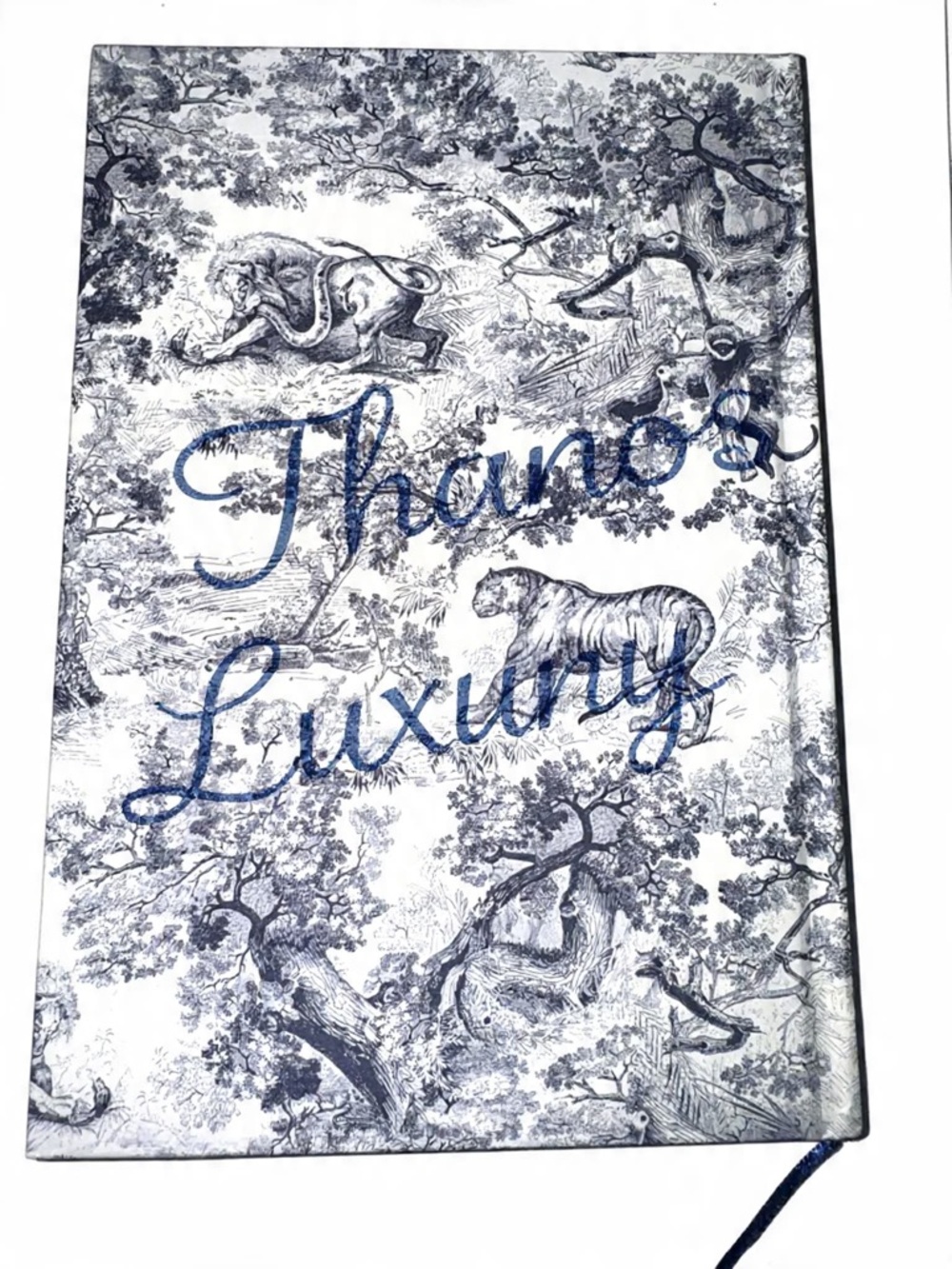 Dior Notebook (Mystery Bundle) - Picture 4 of 6